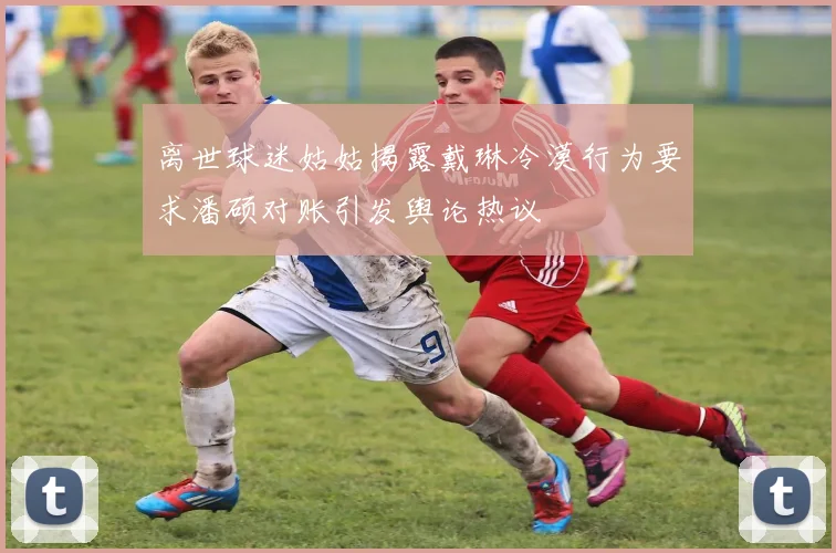 离世球迷姑姑揭露戴琳冷漠行为要求潘硕对账引发舆论热议