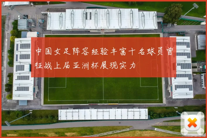 中国女足阵容经验丰富十名球员曾征战上届亚洲杯展现实力